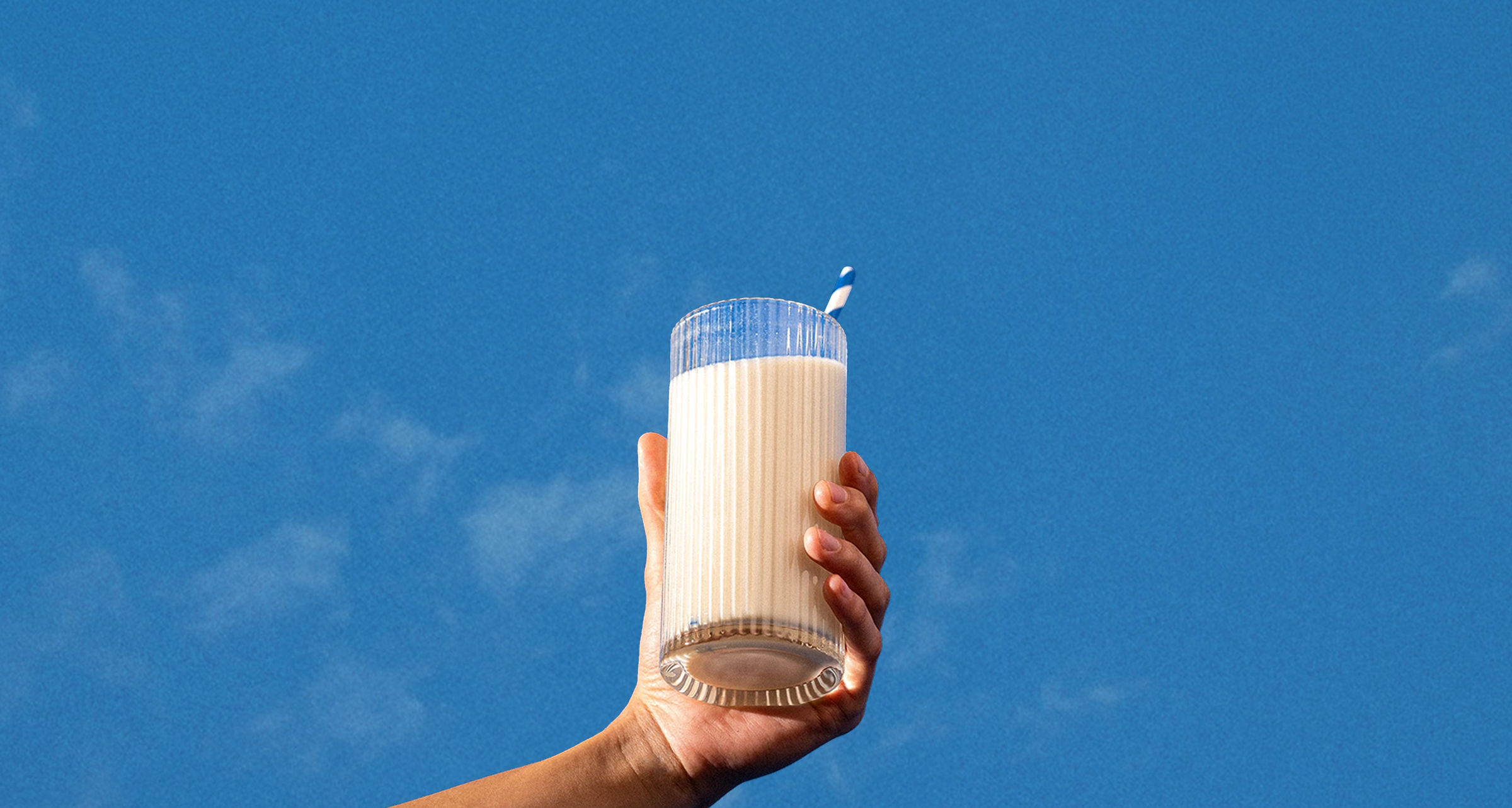 The Protein You’ve Been Searching For